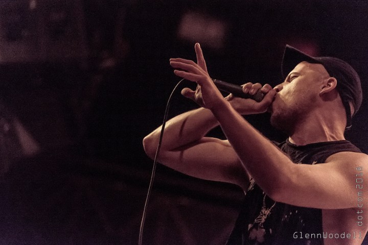 aversions_crown_0151