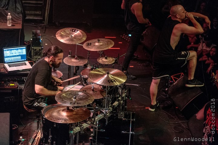 aversions_crown_0188