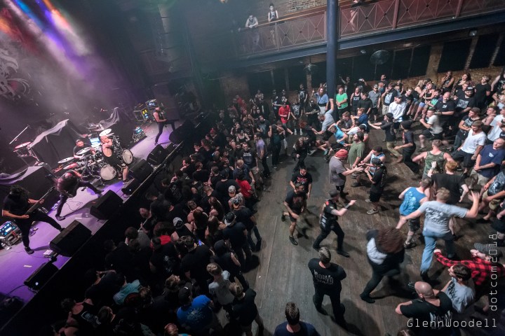 aversions_crown_2805