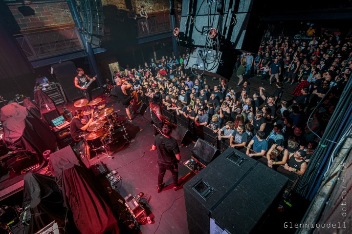 aversions_crown_2813