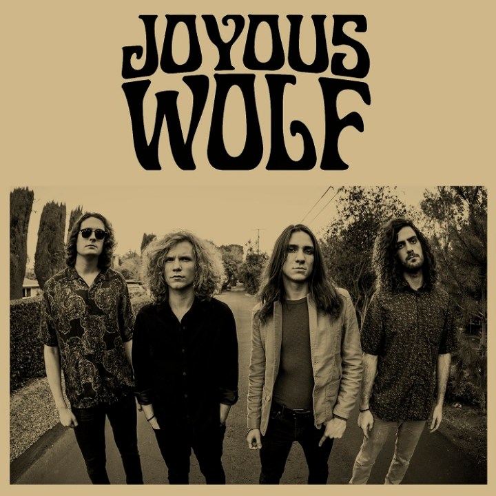 joyouswolf1reduced