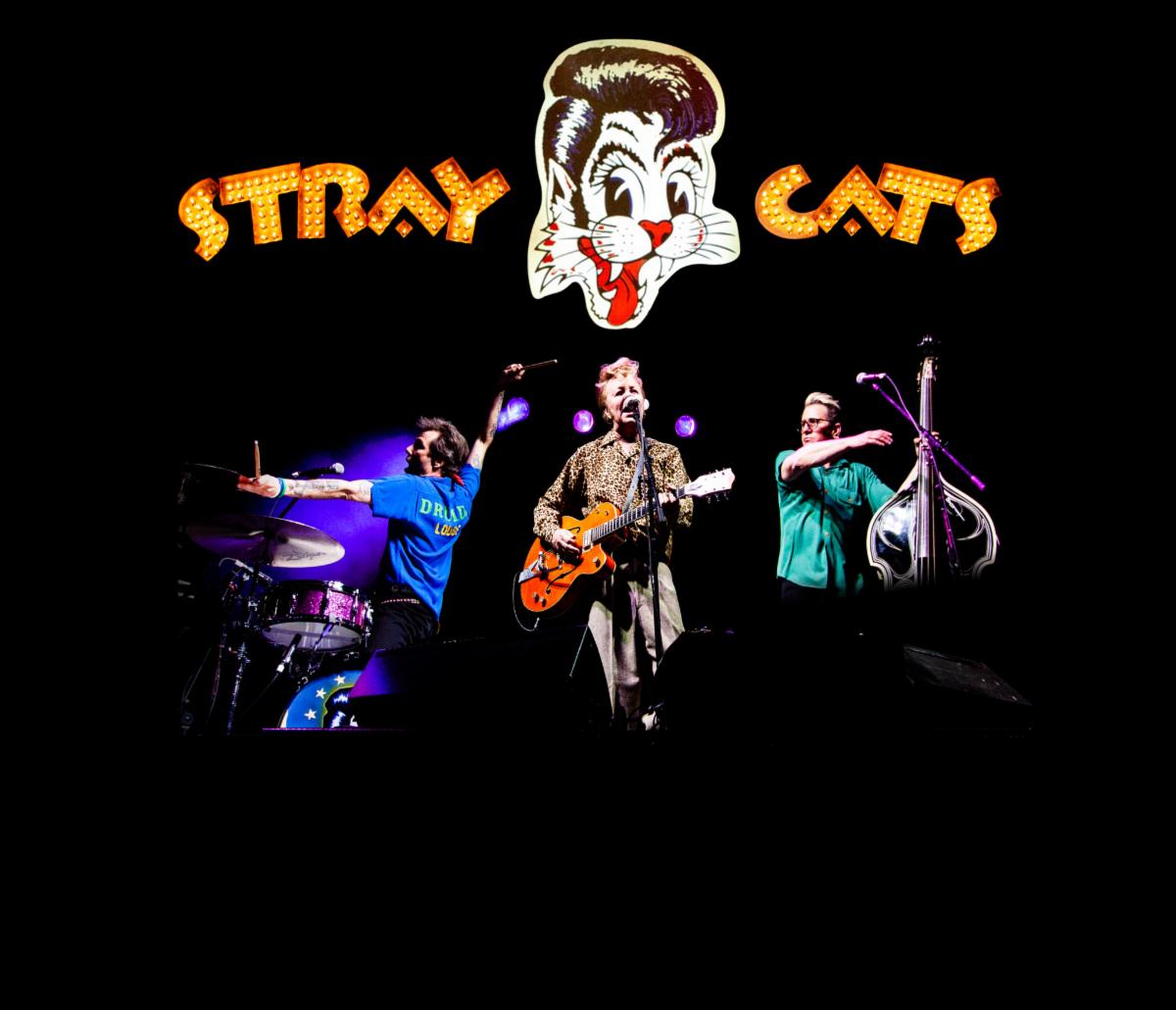 THE STRAY CATS – Music Matters Magazine